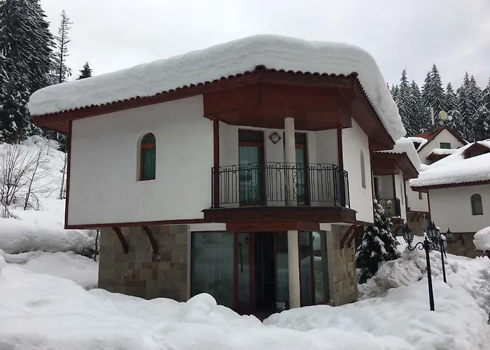 Bojinovi - Forest Nook 2 Pamporovo